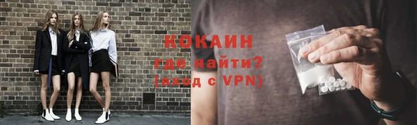 дживик Дмитров
