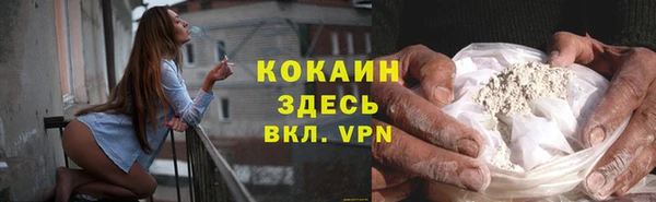дживик Дмитров