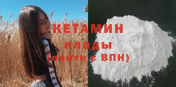 дживик Дмитров