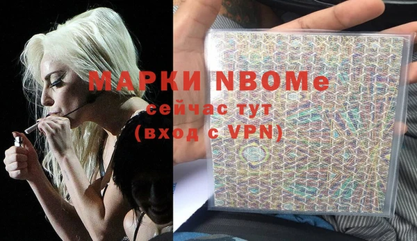 молекула духа Чердынь
