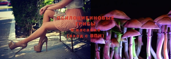 дживик Дмитров